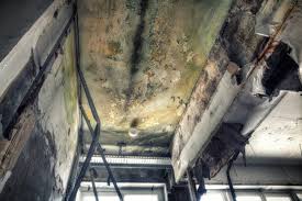 Best Industrial Mold Remediation  in Santa Ana, CA